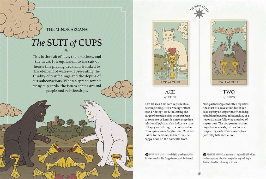 Cats Rule The Earth Tarot – Mister Music