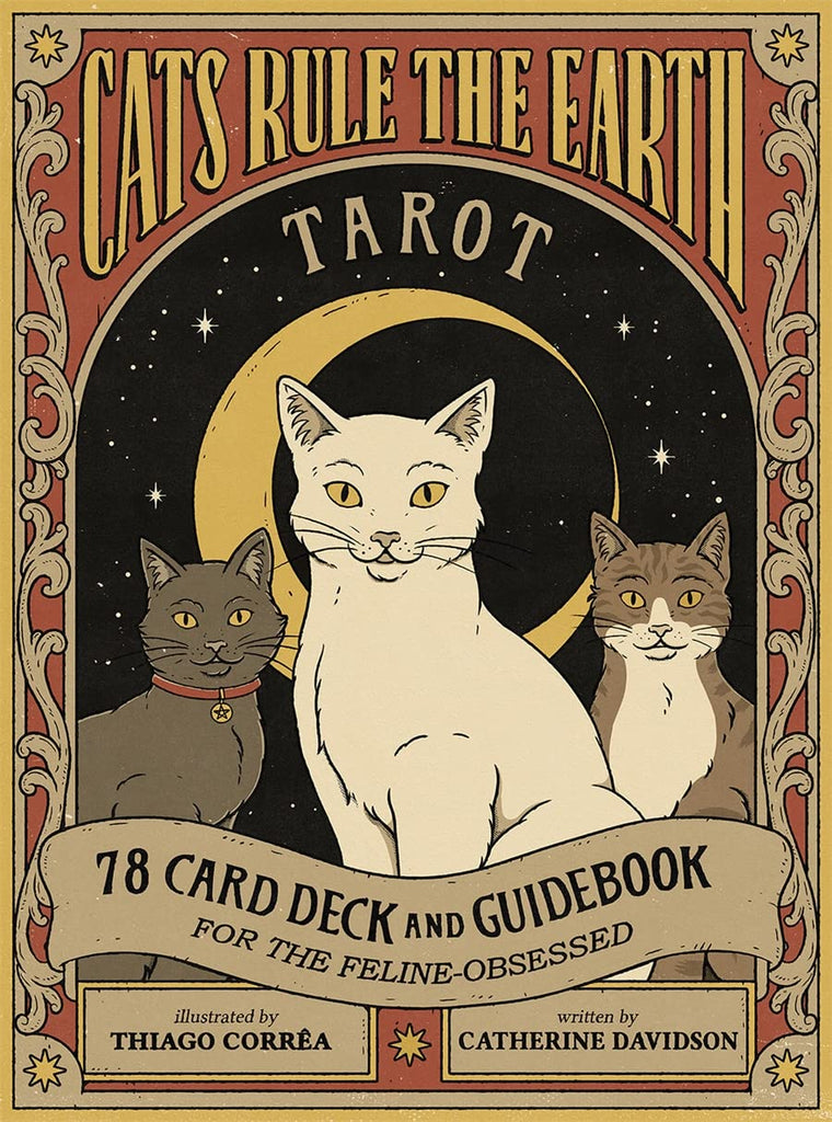 Simmpu 45PCS Oracle Tarot Divinatoire Cartes de Tarot Carte Tarot Débutant  Anglais Oracle Mer-Maids Tarot Jeu de Cartes Tarot Classique et